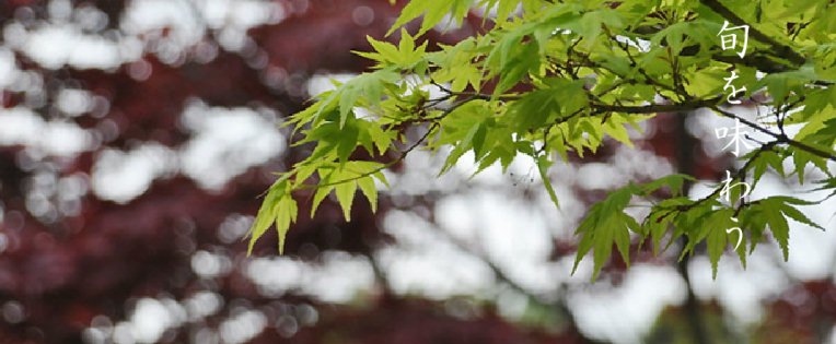 �摜2: